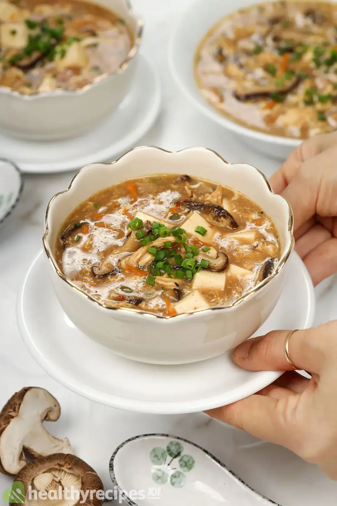 What Is Hot and Sour Soup