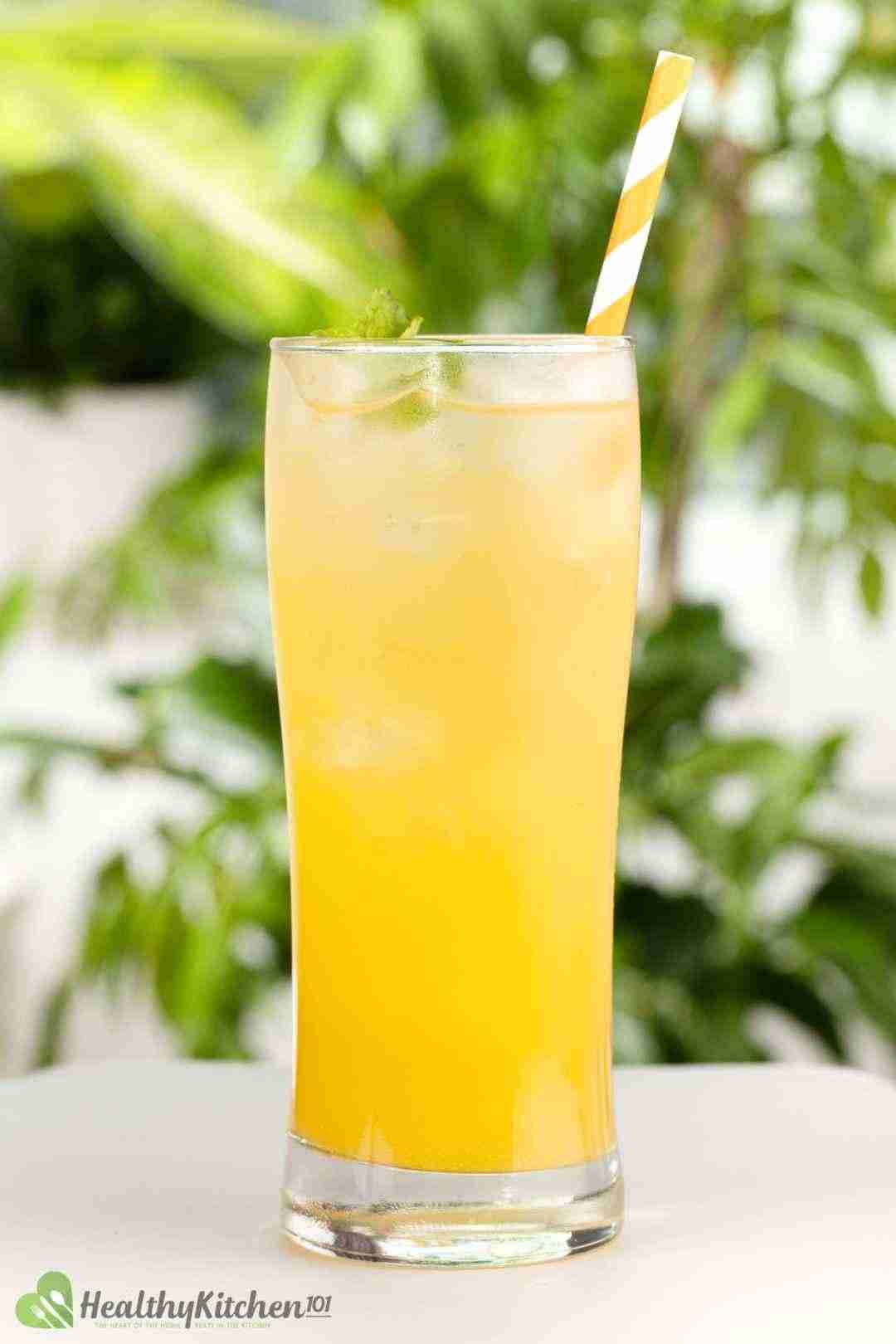 Top 10 Orange Juice Recipes: Easy & Cooling Healthy Beverages