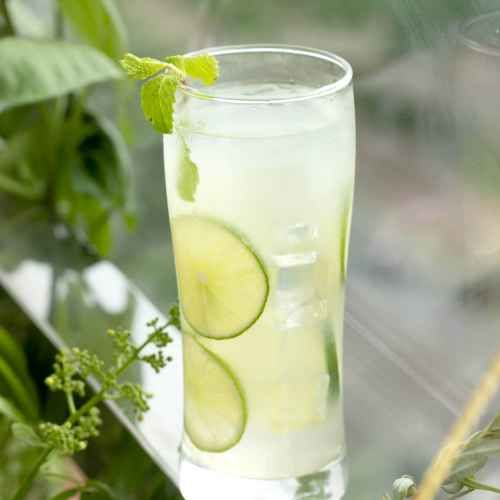 Top 10 Lime Juice Recipes - Zesty, Refreshing Summer Beverages