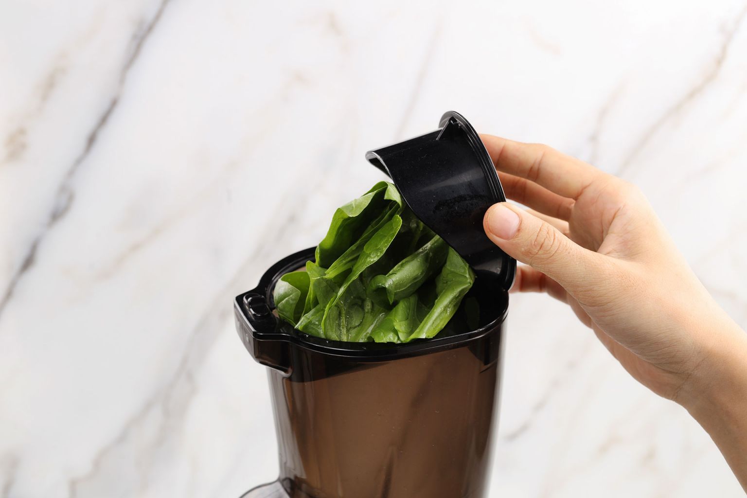 spinach-juice-recipe-a-quick-way-to-sneak-vitamins-into-your-meals