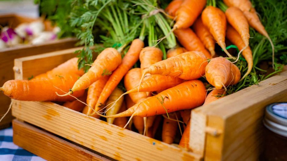How to Store Carrots — Best Methods to Preserve So They Can Last for Months