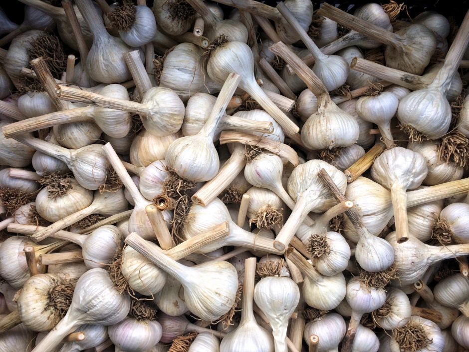 How to Store Garlic The Ultimate LongTerm Storage Guide