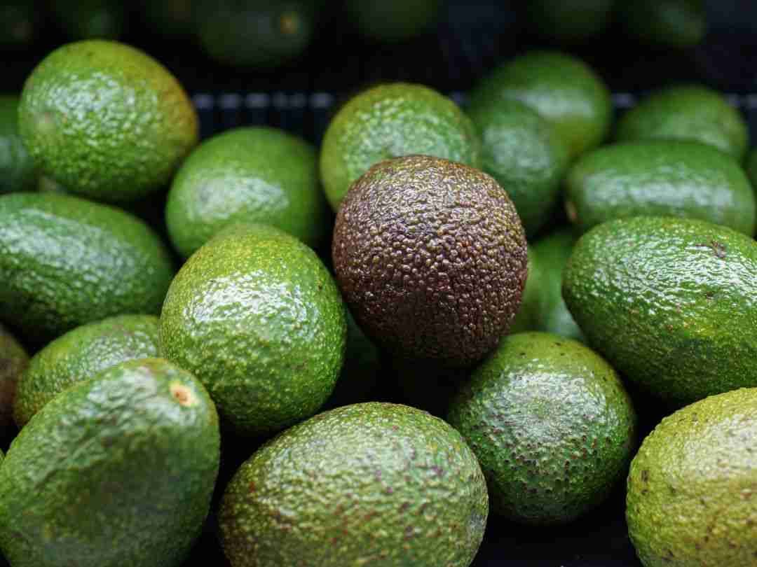 How to Store Avocados — All the Methods to Safely Store Avocados