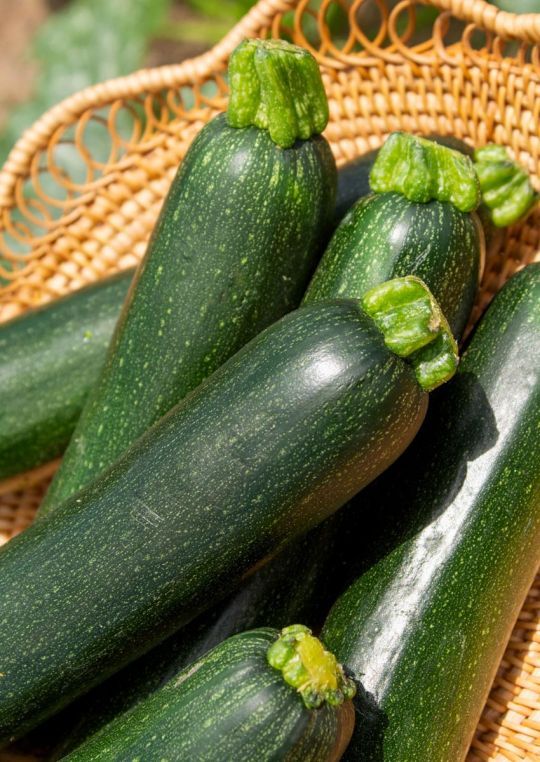 How to Store Zucchini The Best Ways to Keep It Fresh & LongLasting