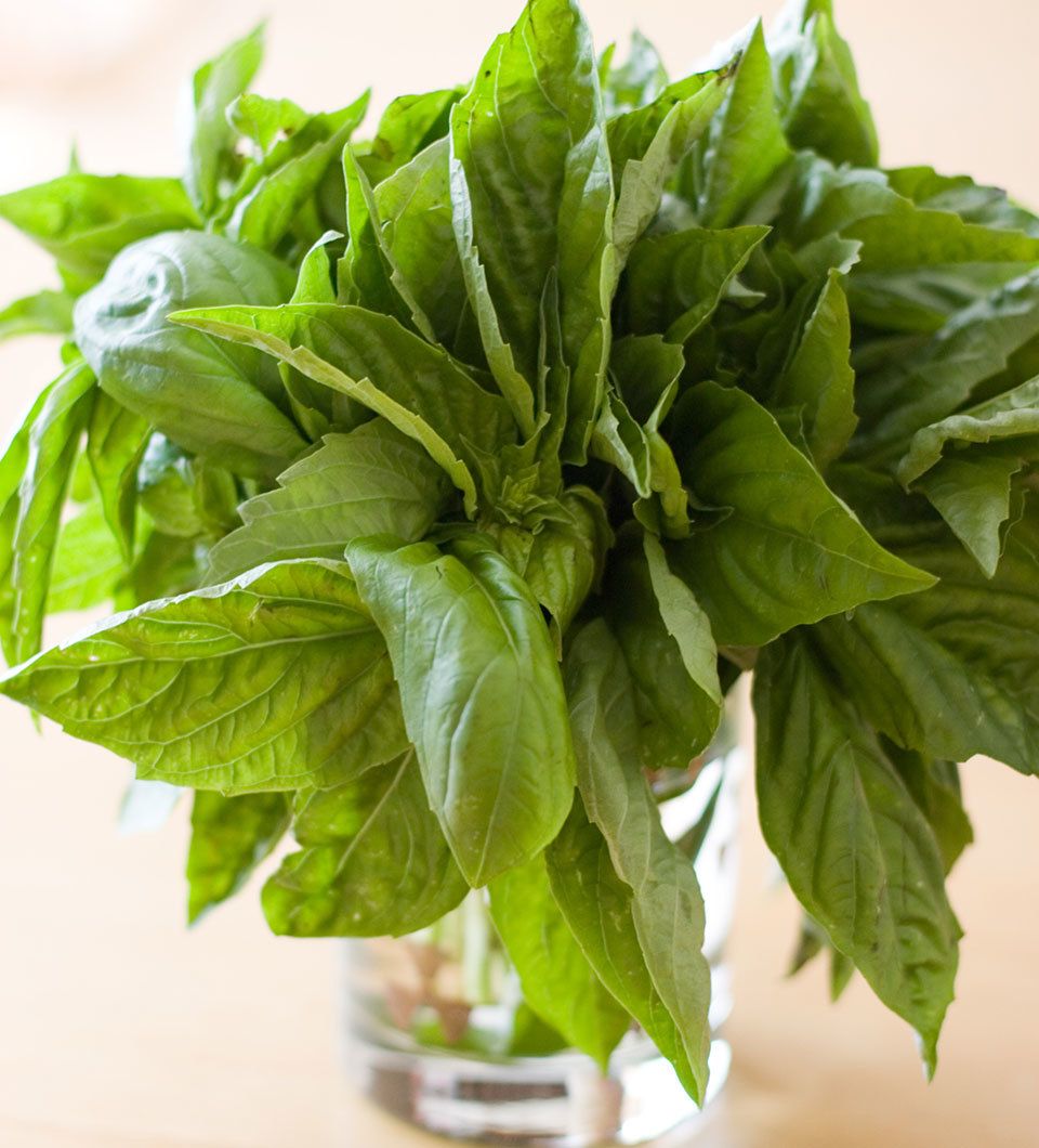 The Best Ways to Store Basil