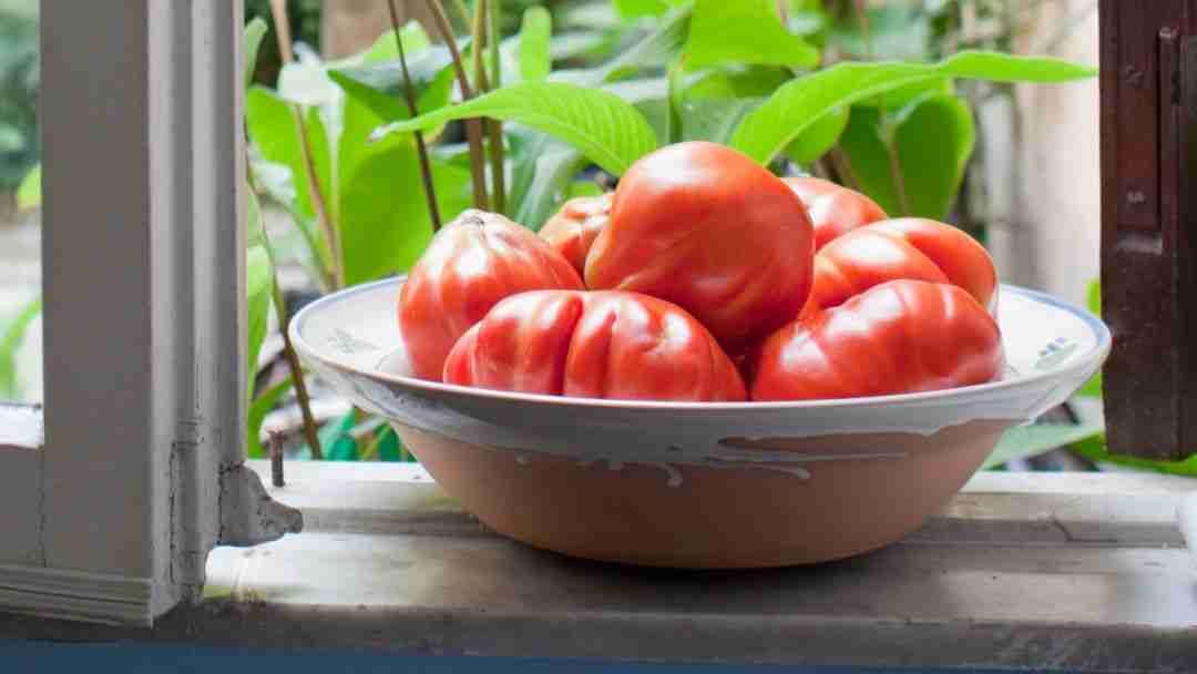 How to Store Tomatoes Best Storage Methods for Maximum Freshness and