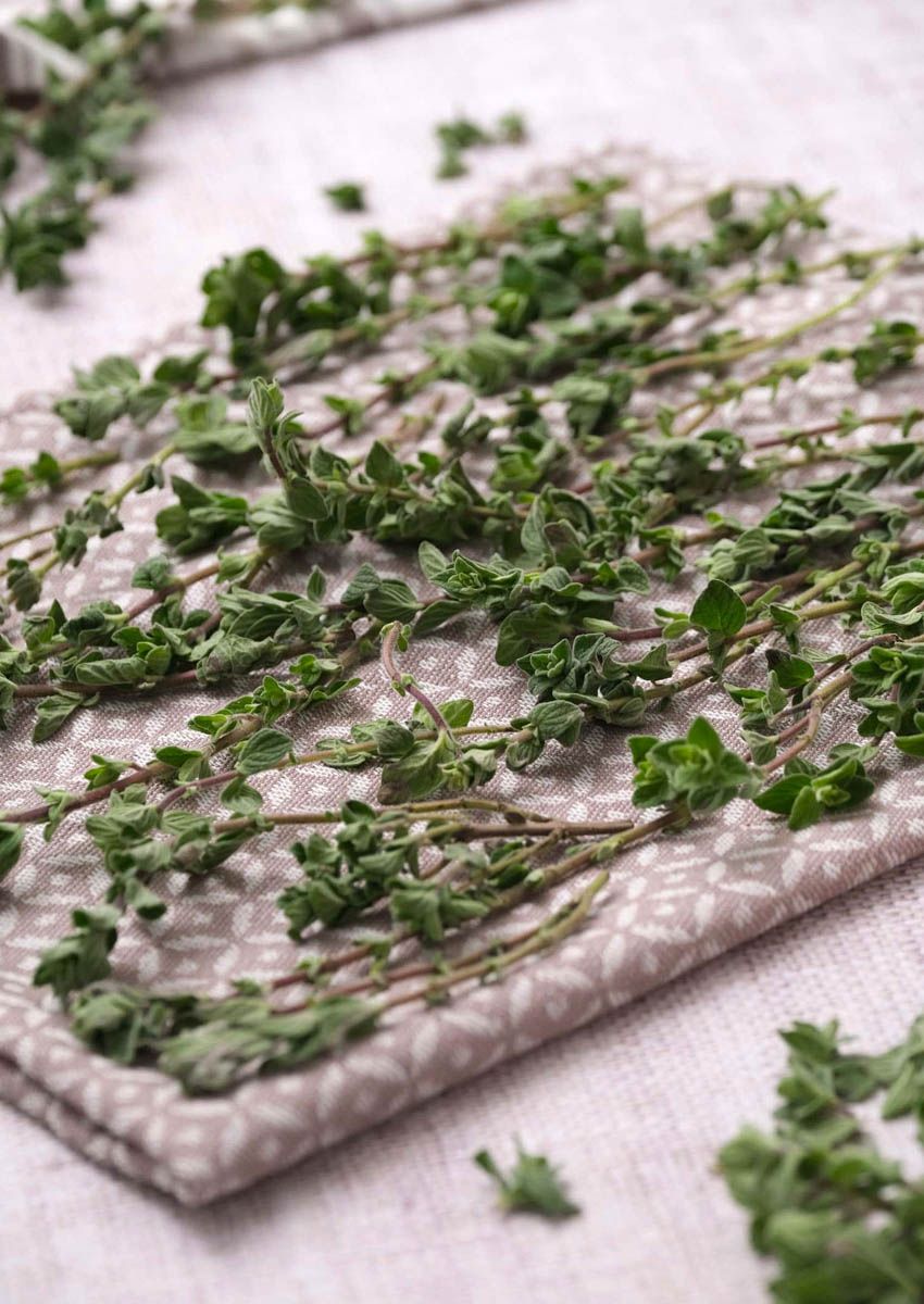 How to Dry Oregano Best Methods to Make Dried Oregano At Home