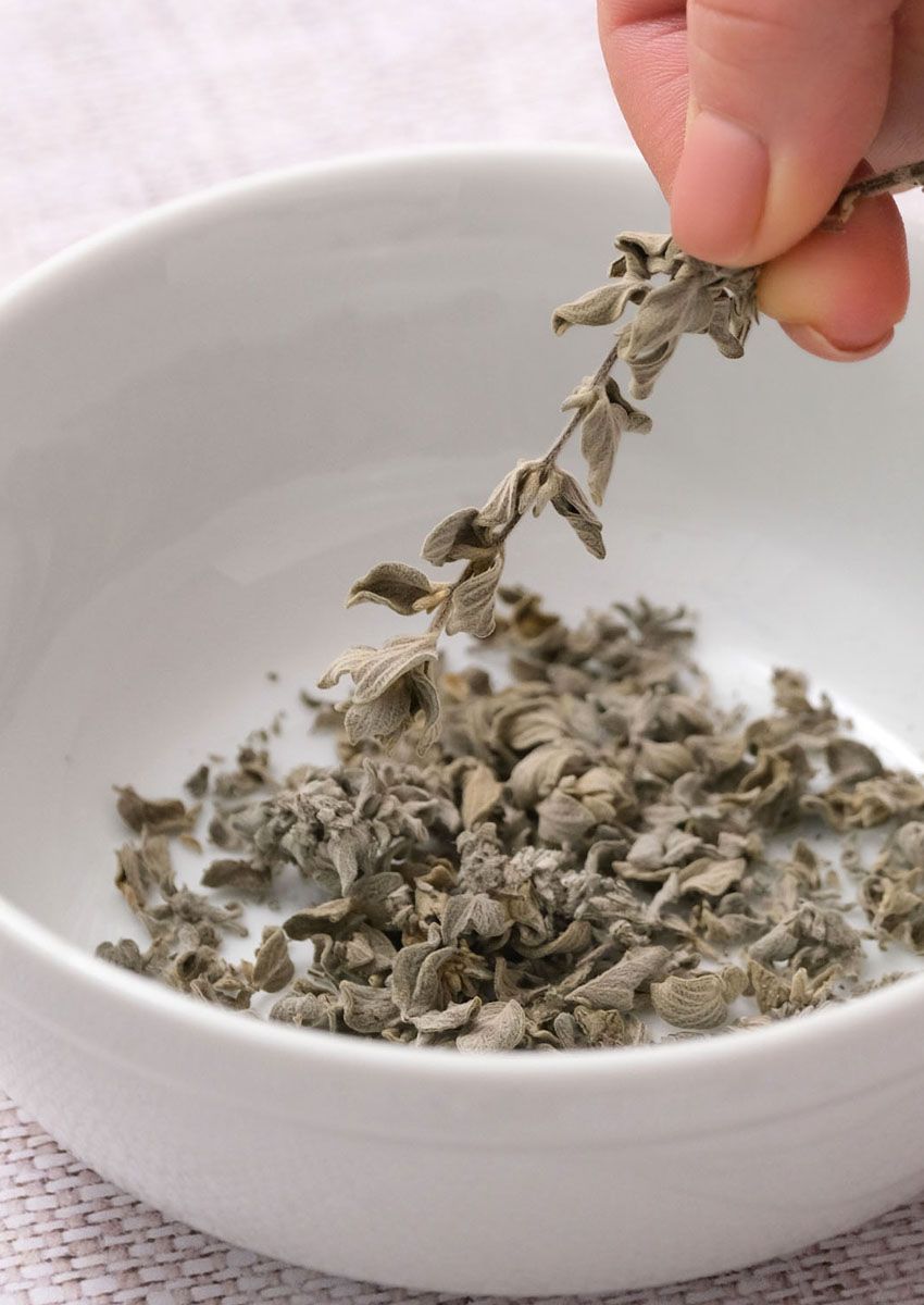 How to Dry Oregano Best Methods to Make Dried Oregano At Home