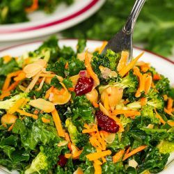 Lemon Kale Salad Recipe